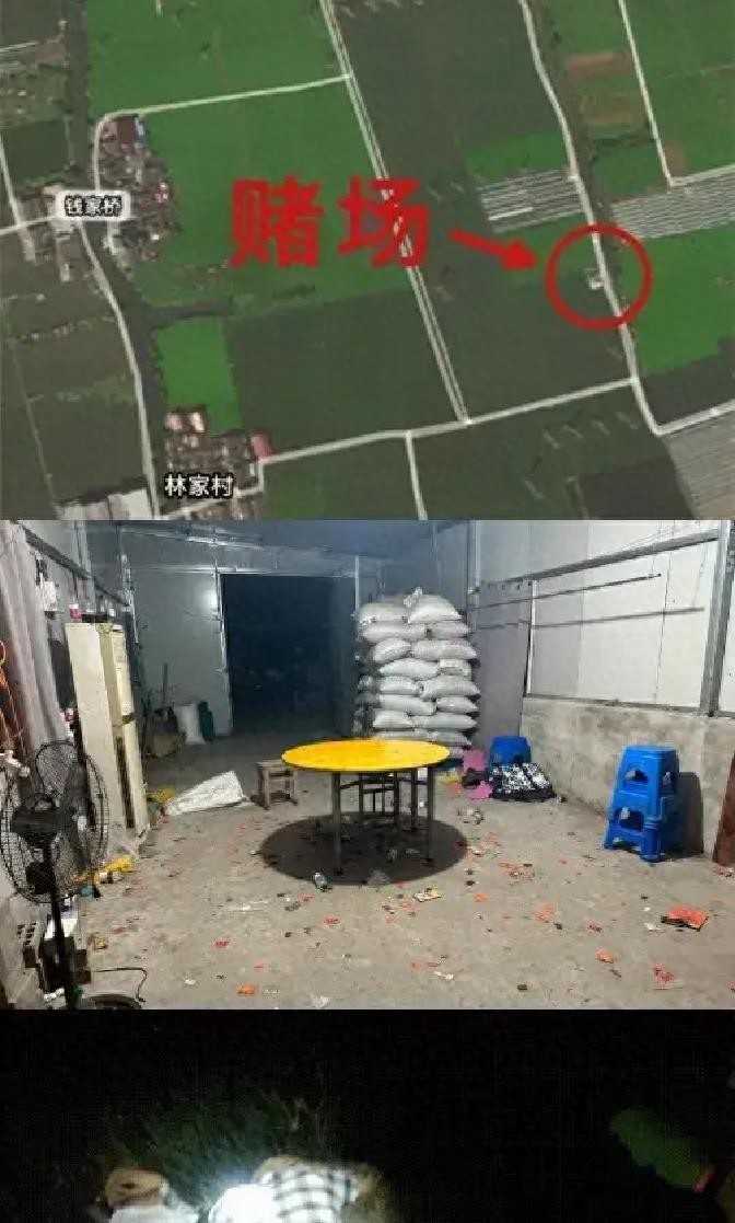 661人栽了！沈阳农村抓赌专盯这5类人，城里棋牌室就合法吗？