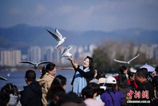 云南平均每十人中约有一位异乡旅居客！今年消费规模有望突破500亿元