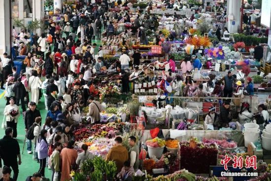 云南平均每十人中约有一位异乡旅居客！今年消费规模有望突破500亿元