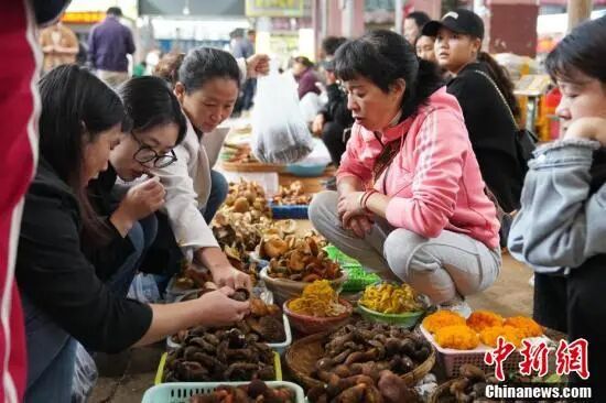 云南平均每十人中约有一位异乡旅居客！今年消费规模有望突破500亿元