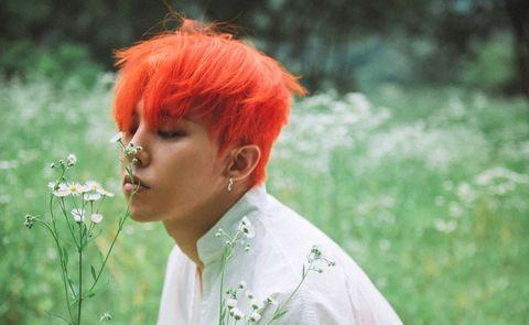 GD权志龙女友都有这项必备条件?韩流天王15年绯闻女友盘点