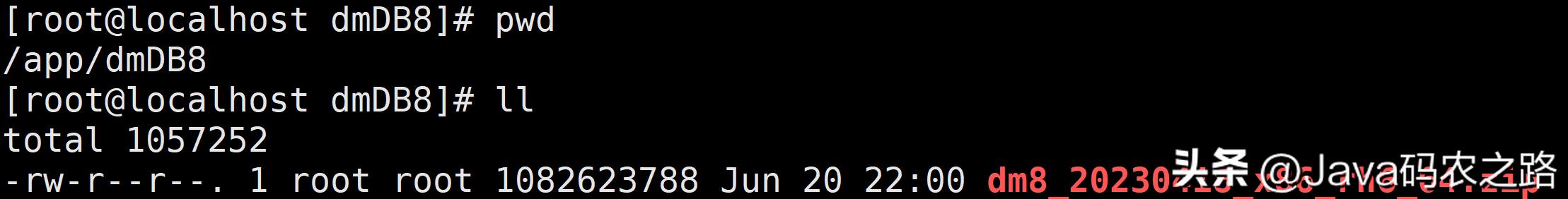 全网最详细达梦数据库安装使用教程