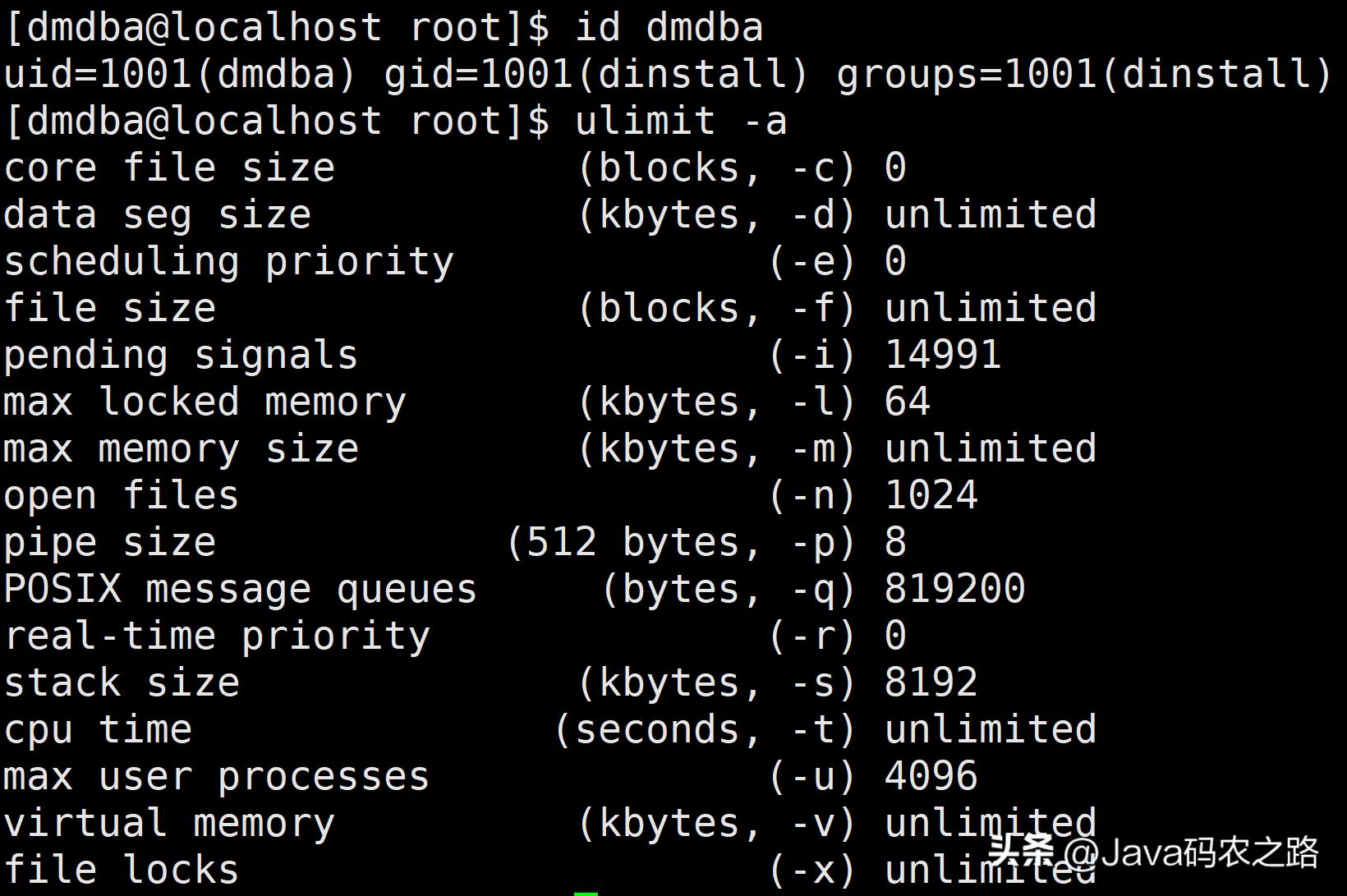 全网最详细达梦数据库安装使用教程