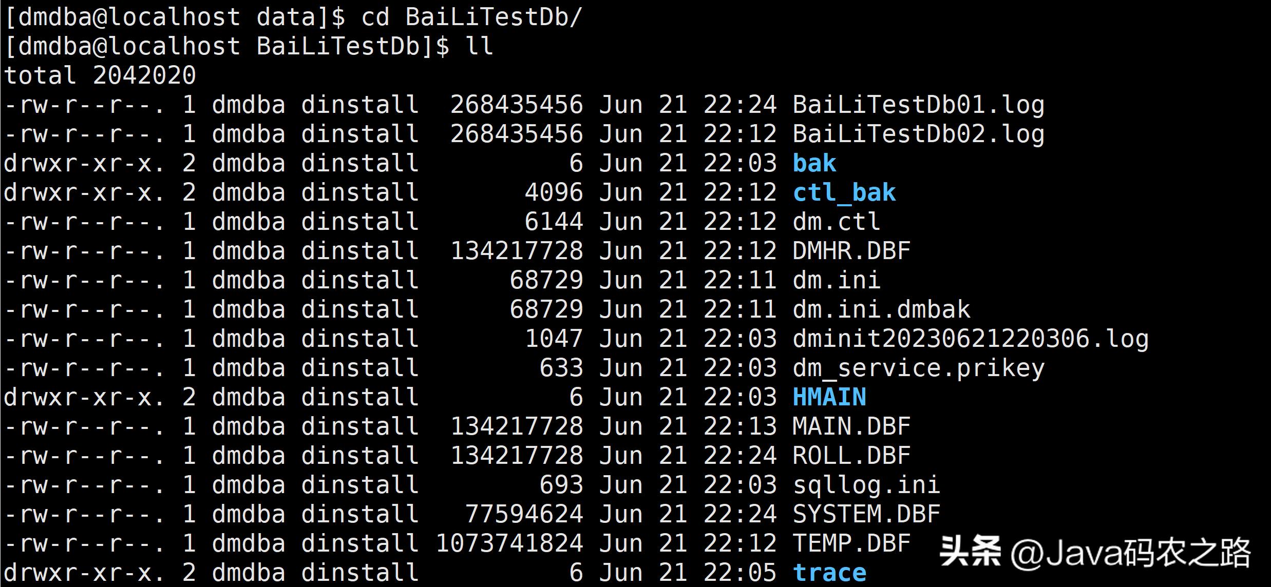 全网最详细达梦数据库安装使用教程