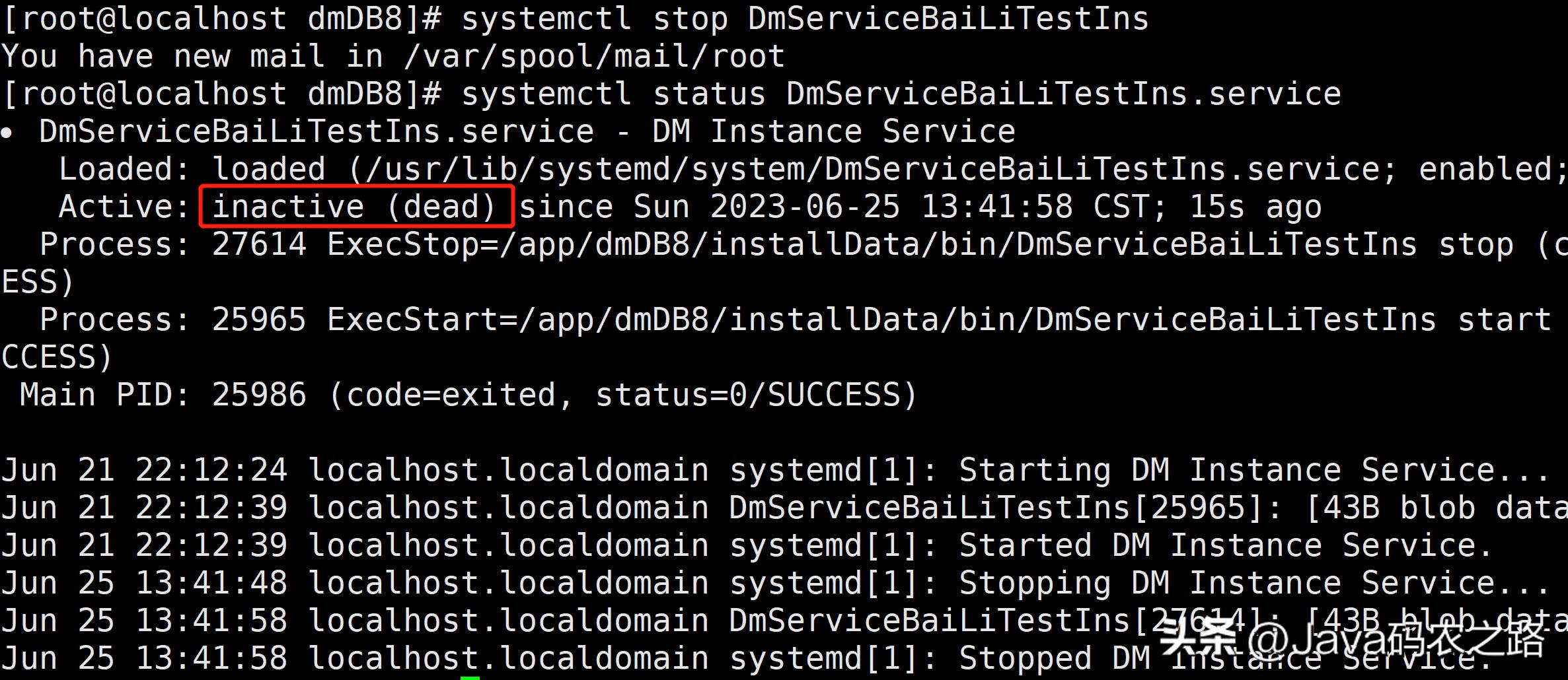 全网最详细达梦数据库安装使用教程