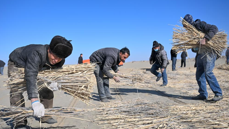 论文自己写，代笔骗子多！