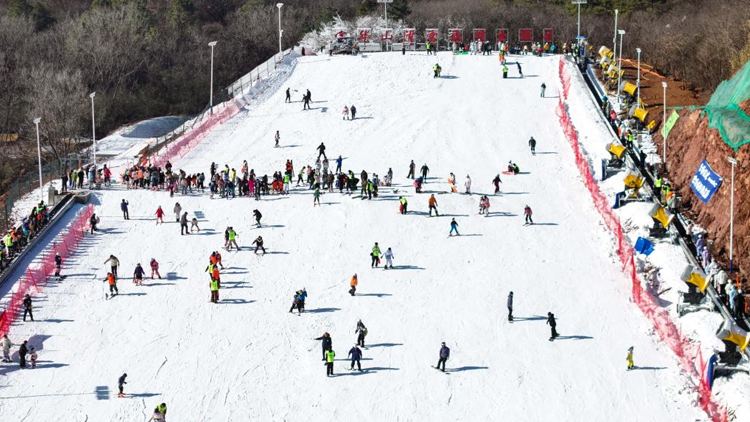 论文自己写，代笔骗子多！