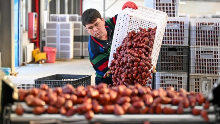 论文自己写，代笔骗子多！