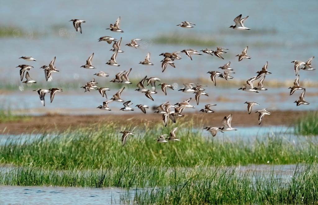 先行先试！福建“颜值”担当