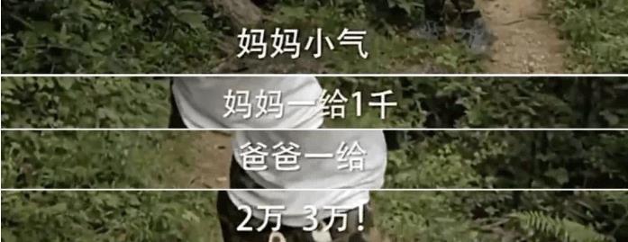 从豪门富太到带货还债，她终究没能躺平到底