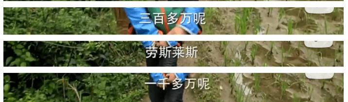 从豪门富太到带货还债，她终究没能躺平到底