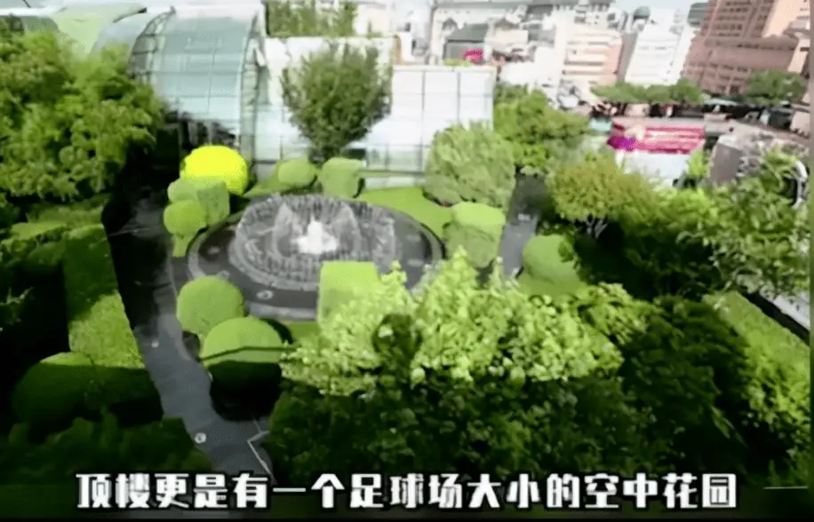 网传王艳豪宅被拍卖，以11亿起拍价无人理，富豪老公欠巨款玩失踪！