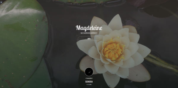 年末了,送你一份史上最全的PPT素材资源!