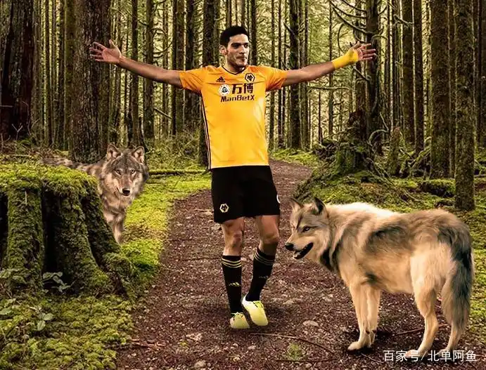 「友谊赛」荷兰VS墨西哥，双方进攻端实力都很强