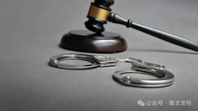 坡头区三任书记落马,一人已出狱