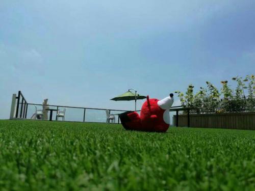 2016搜狐新闻青岛年度自媒体答谢会圆满落幕