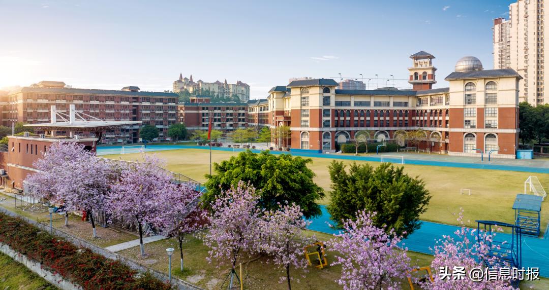 扩优提质｜广东华侨中学：打造培养“英才计划”人才摇篮