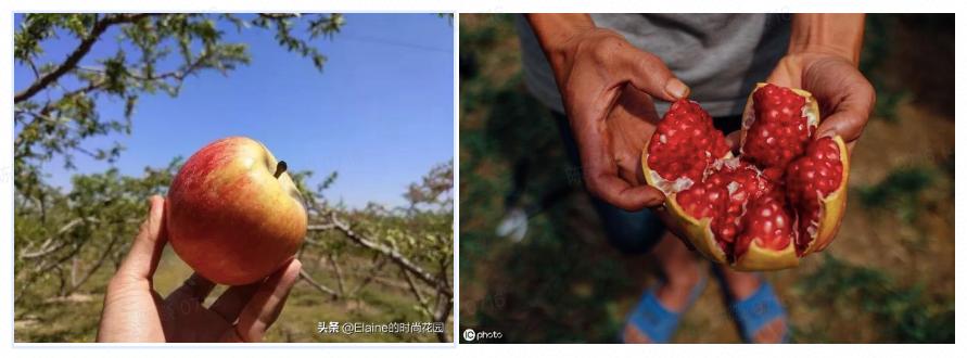 种草文如何避免标题党？这几种类型会被打压，案例解读帮你避坑