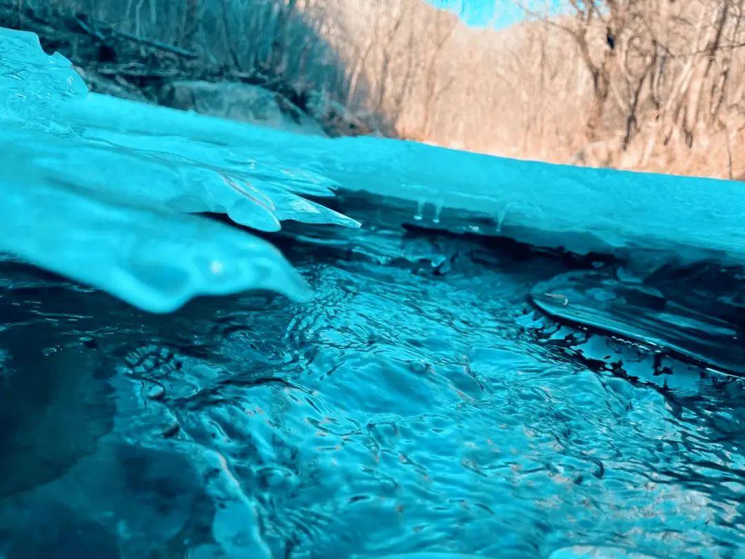 寒假礼物 | 中报小记者媒介素养冰雪营