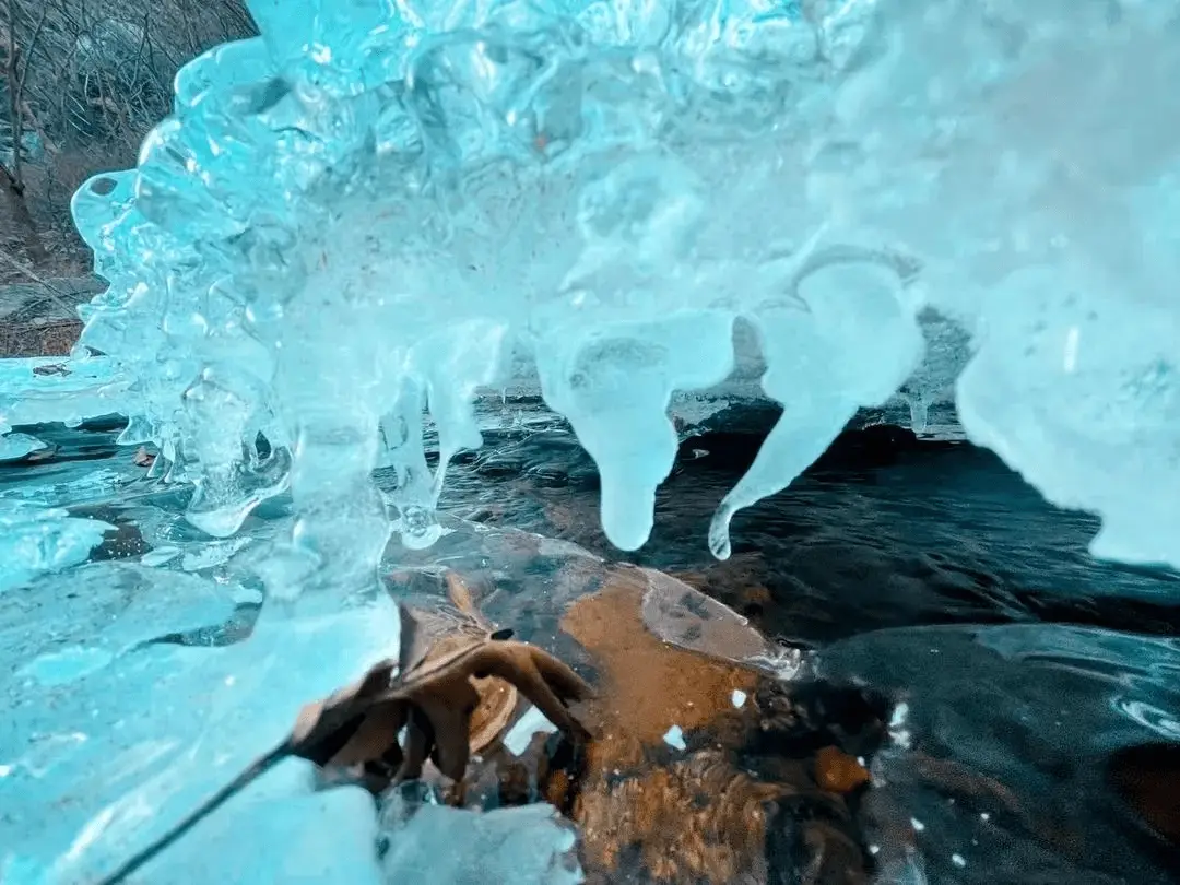 寒假礼物 | 中报小记者媒介素养冰雪营