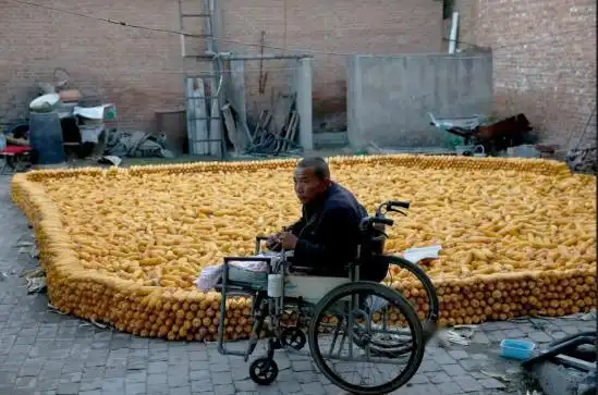 男子因无力支付手术费，自锯双腿，12年后现状如何？