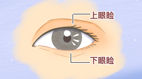 “左眼跳财，右眼跳灾”？合肥普瑞眼科医生解读：眼皮跳是身体的健康提示