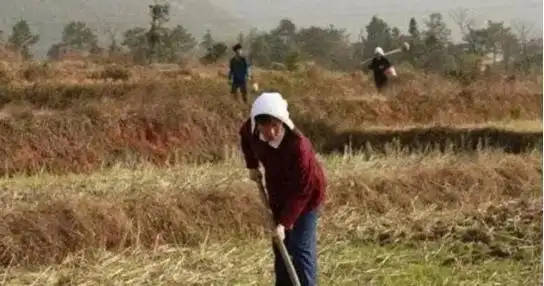 河北男子拿不出100万手术费，回家自己锯掉双腿，12年过去怎样了