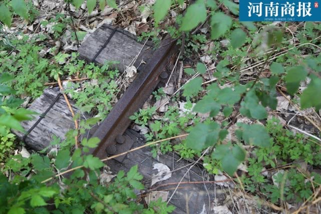 再探郑州世纪欢乐园：曾经忙碌的游乐设施如今一片萧瑟，恍如隔世…