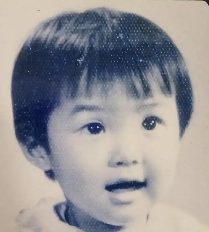 袁立：历经三次婚姻与无子女生活 她追求的究竟是什么