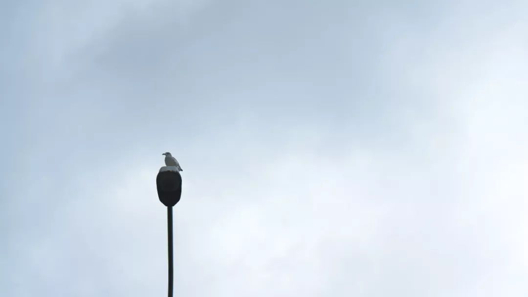 如何美美地给照片配上文字