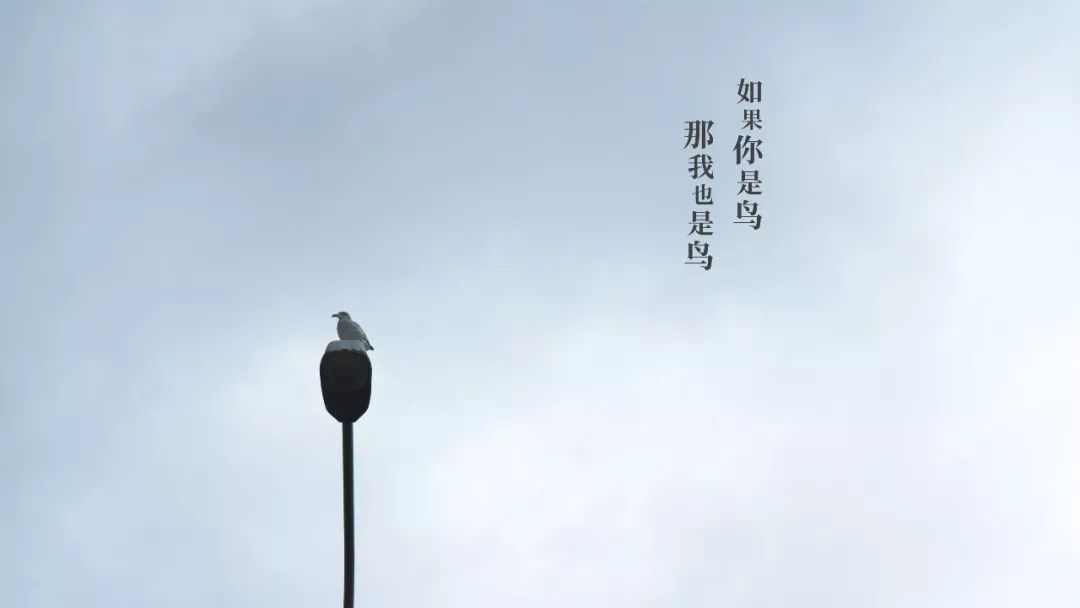 如何美美地给照片配上文字