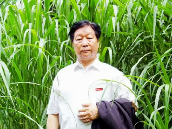 2023感动中国十大人物事迹及