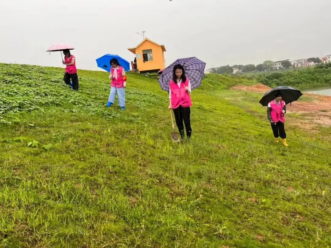 江西永修：闻“汛”而动，风雨中彰显巾帼担当