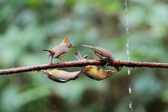 株洲寻踪：神农脉与动力魂