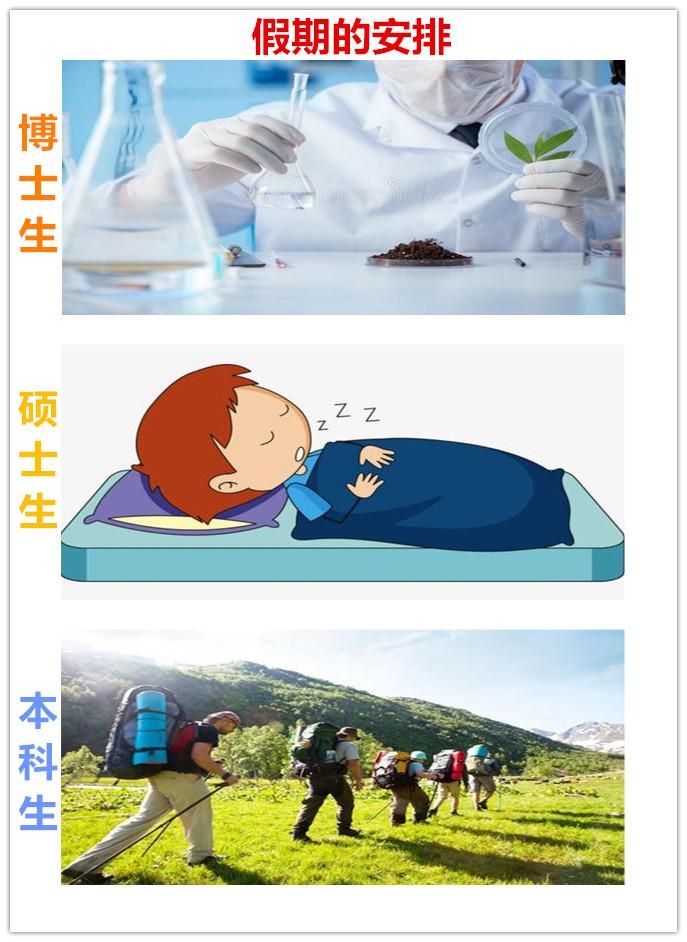 看这14张图,就能懂得博士、硕士和本科生的区别