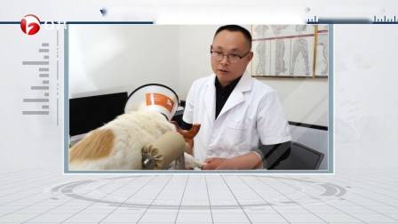 广东新焦点发布广东电视台播出——广州高新区投资控股有限公司