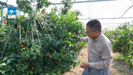 深圳直通车发布深圳电视台播出——广东天地和实业控股集团有限公司