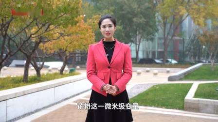 深圳直通车发布深圳电视台播出——广东天地和实业控股集团有限公司