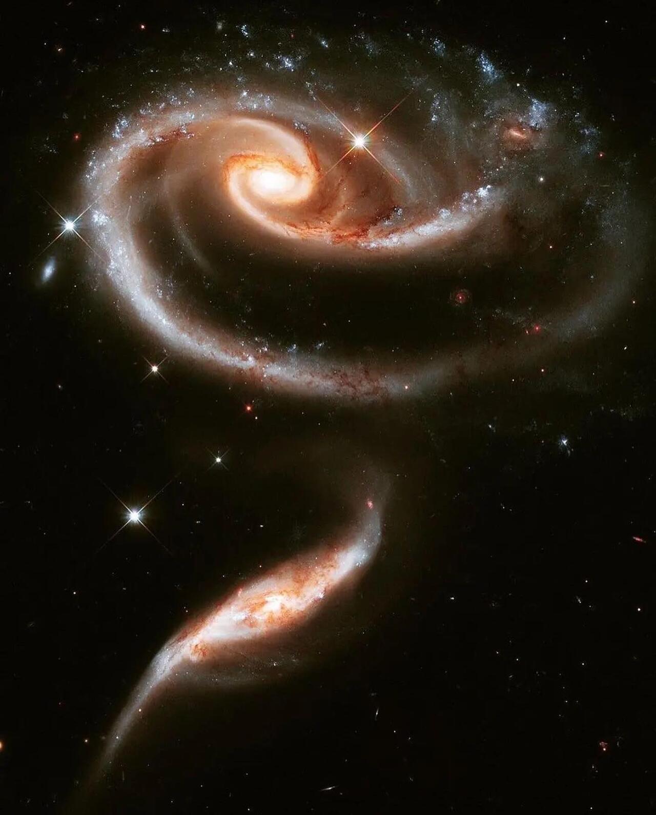 上等婚配！处女座与这些星座结婚，爱情事业双丰收，注定富贵！