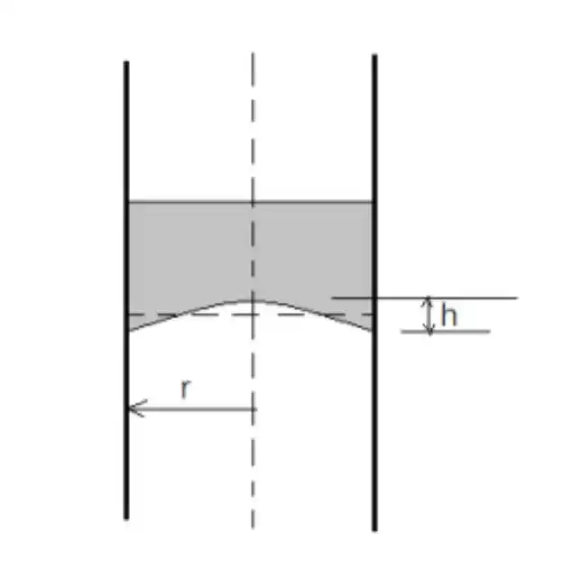 都是毛发，为什么头发比眉毛长得快？｜No.247