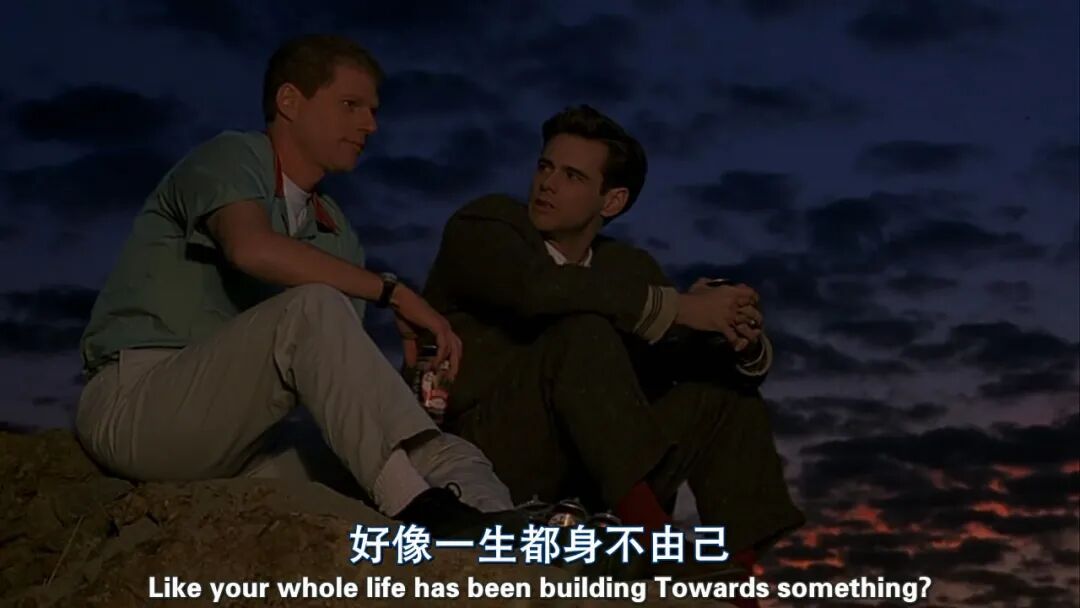 我追寻自由,也正被它束缚其中