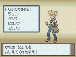 口袋妖怪白金光GBA