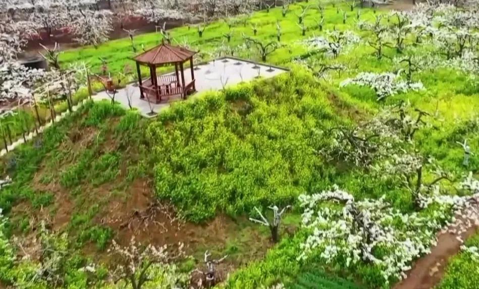 中国县城概况:赵县——赵州桥的故乡!