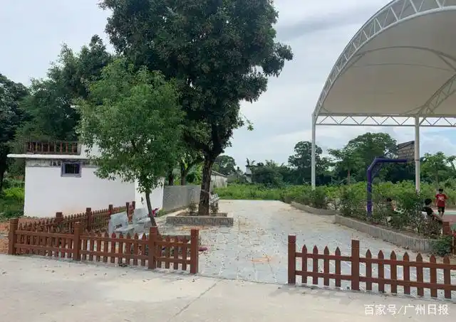 杨国强获评全国脱贫攻坚先进个人
