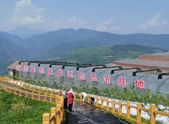 近年来，峨边彝族自治县委、县政府突出