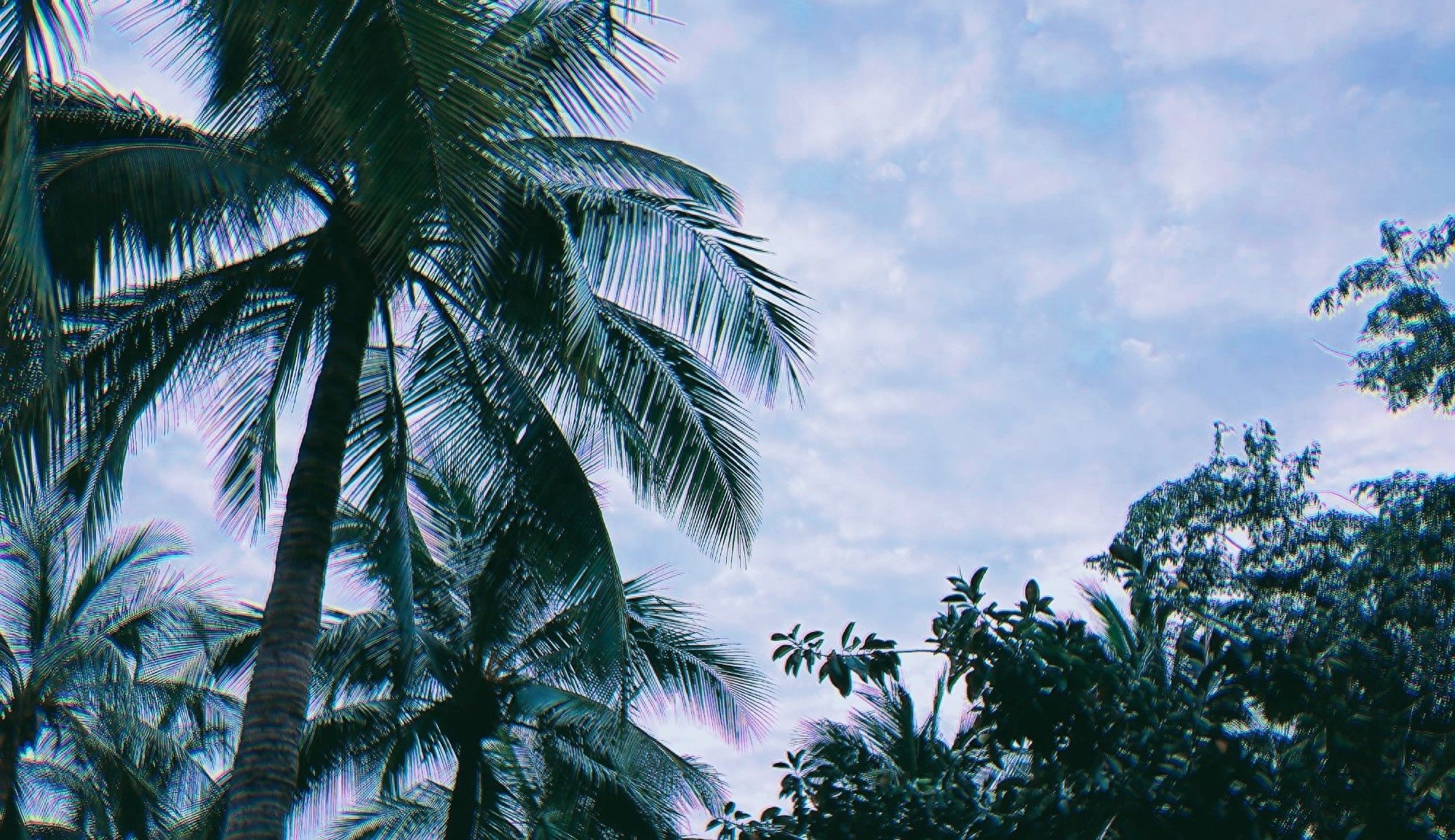 调剂邮件话术模版，24调剂党马住！