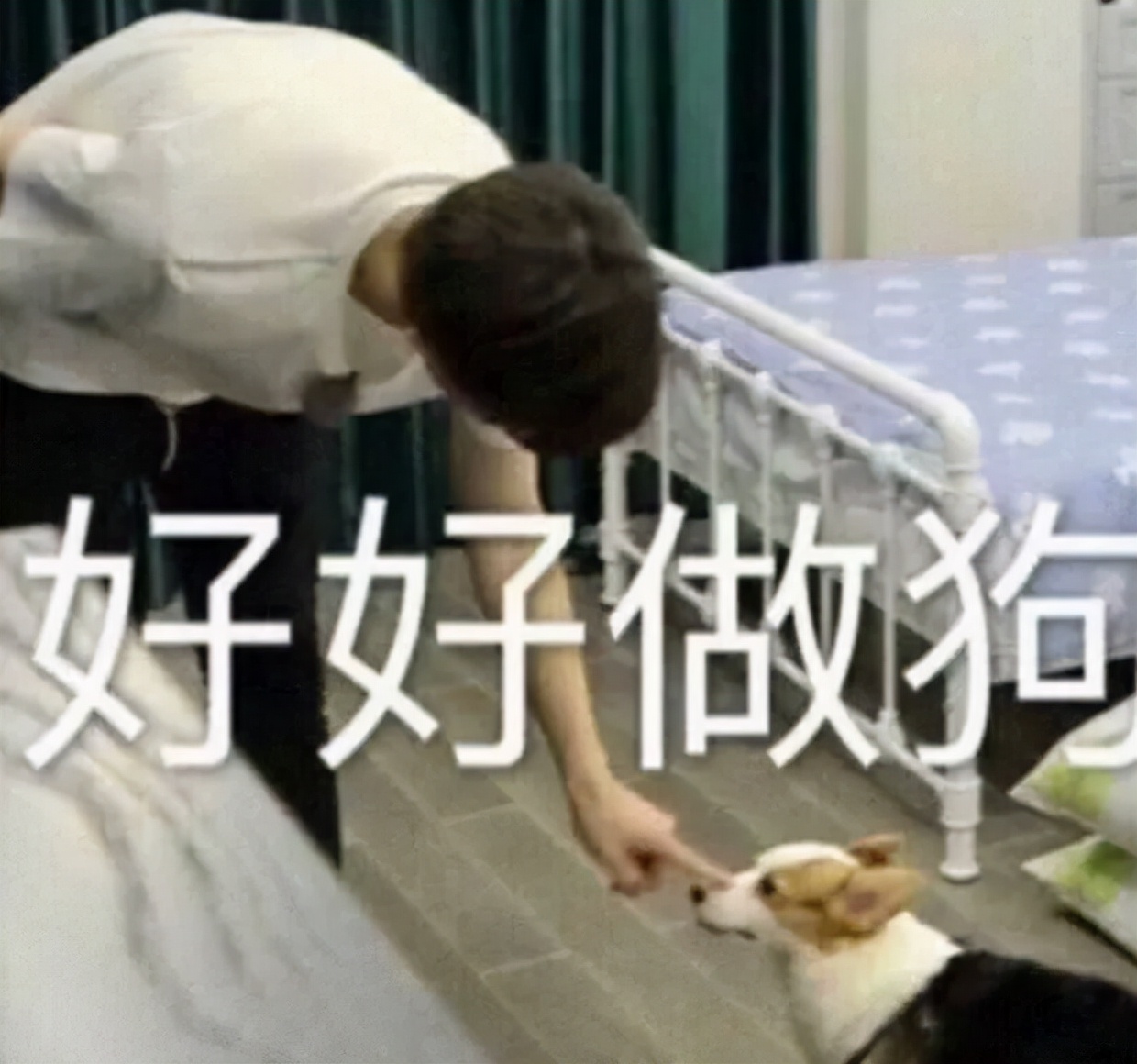 免费不限速的百度网盘，终于来了