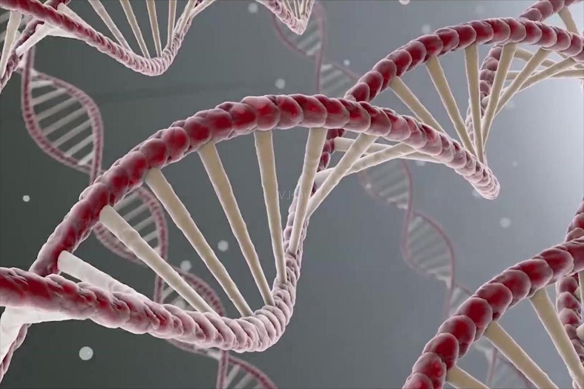 H2O2介导在低温下,对茄子产生的氧化应激感知以及抵抗力中的积累