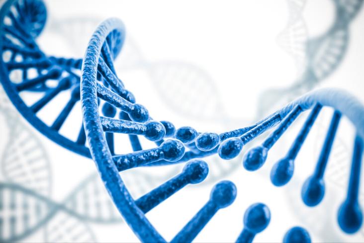 H2O2介导在低温下,对茄子产生的氧化应激感知以及抵抗力中的积累