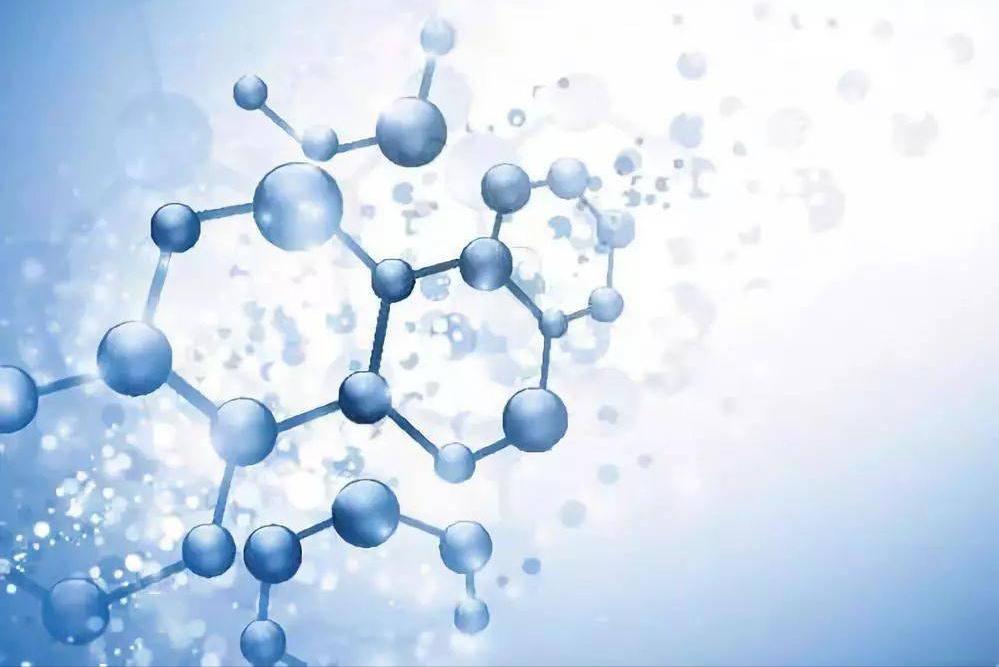 H2O2介导在低温下,对茄子产生的氧化应激感知以及抵抗力中的积累